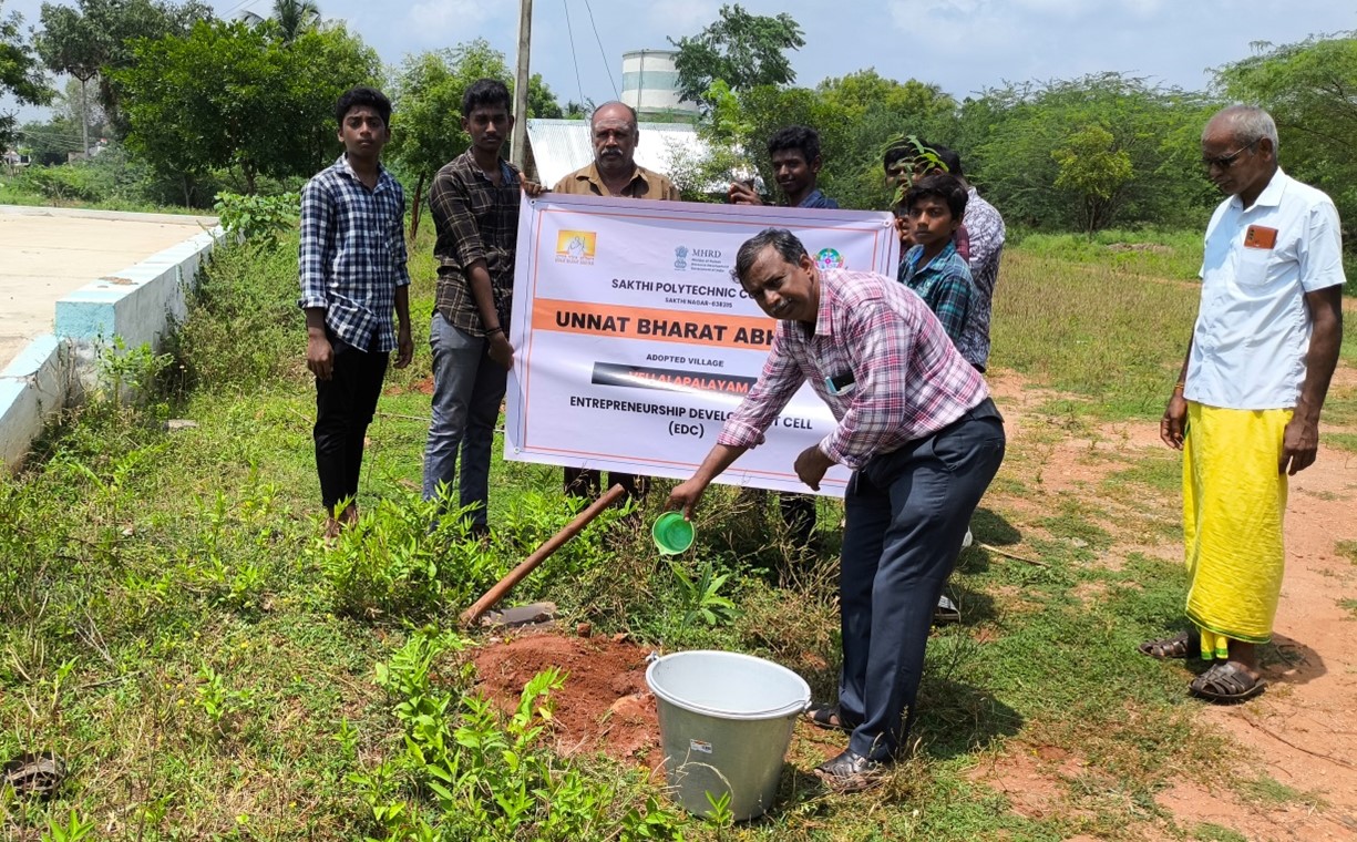 TREE PLANTATION